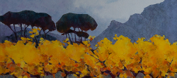 Autumn Vines, Constantia | 2019 | Oil on Canvas | 60 x 90 cm
